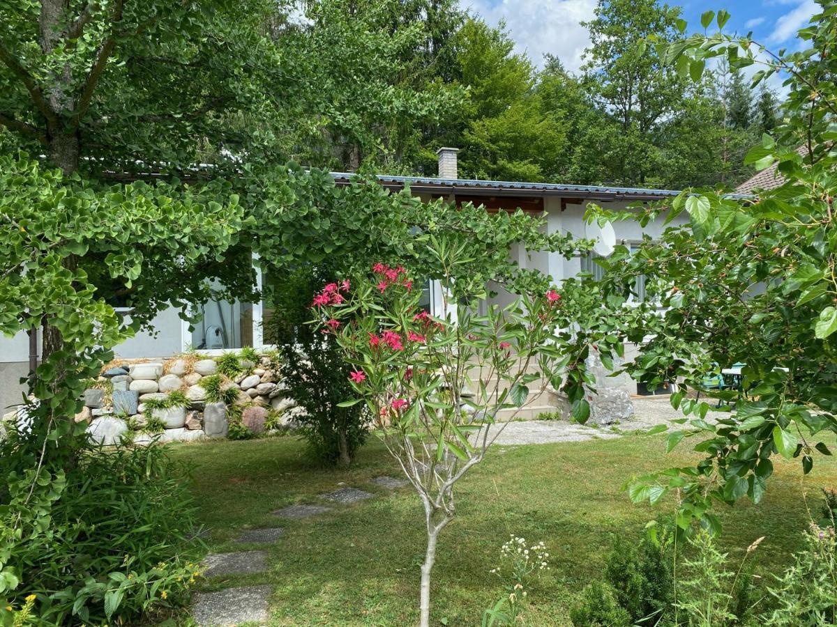 Bungalow Grabner Hermagor-Pressegger See Kültér fotó