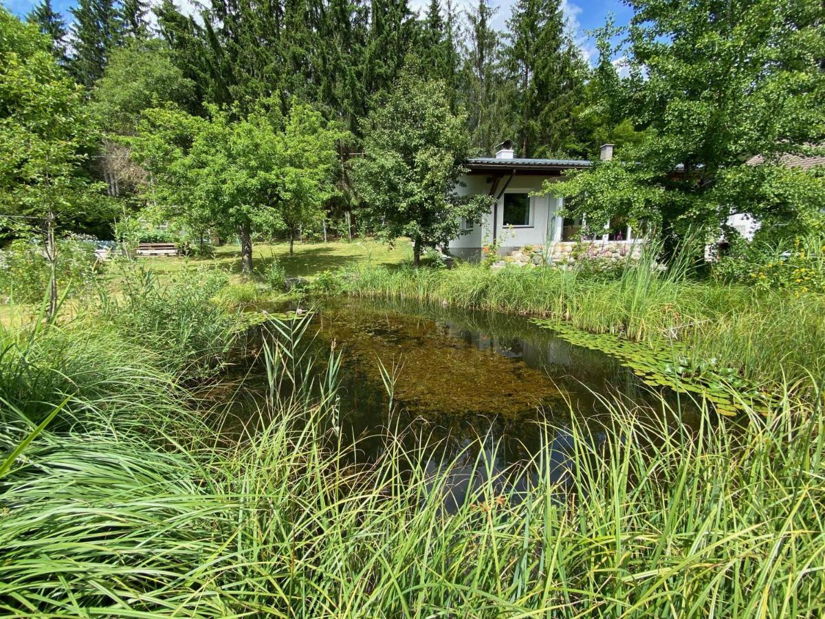 Bungalow Grabner Hermagor-Pressegger See Kültér fotó